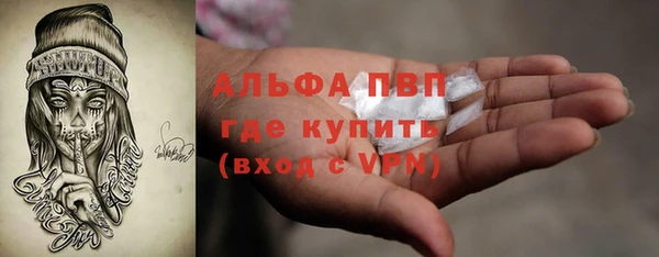 PSILOCYBIN Ладушкин
