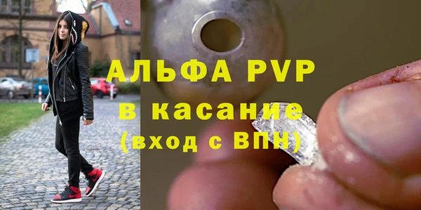 PSILOCYBIN Ладушкин
