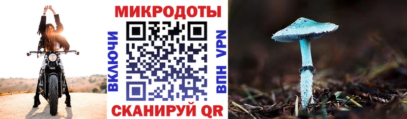 Псилоцибиновые грибы Magic Shrooms  ссылка на мегу сайт  Суровикино 